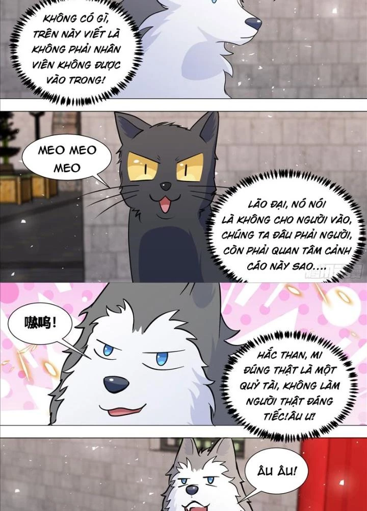 Trọng Sinh Thành Chó Của Nữ Thần Chapter 388 - Trang 3