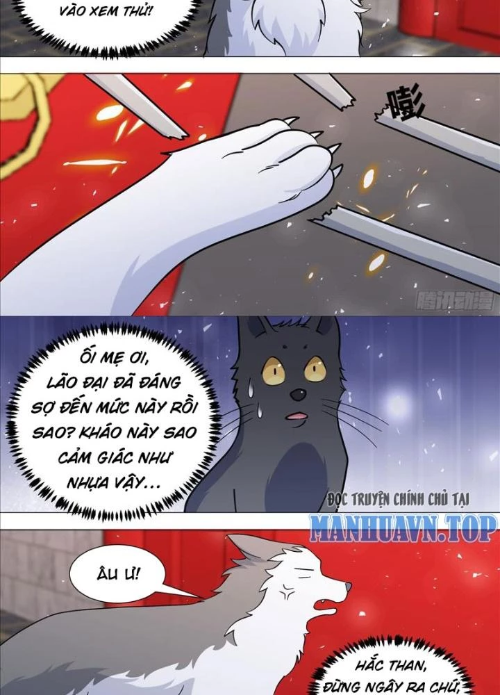 Trọng Sinh Thành Chó Của Nữ Thần Chapter 388 - Trang 3