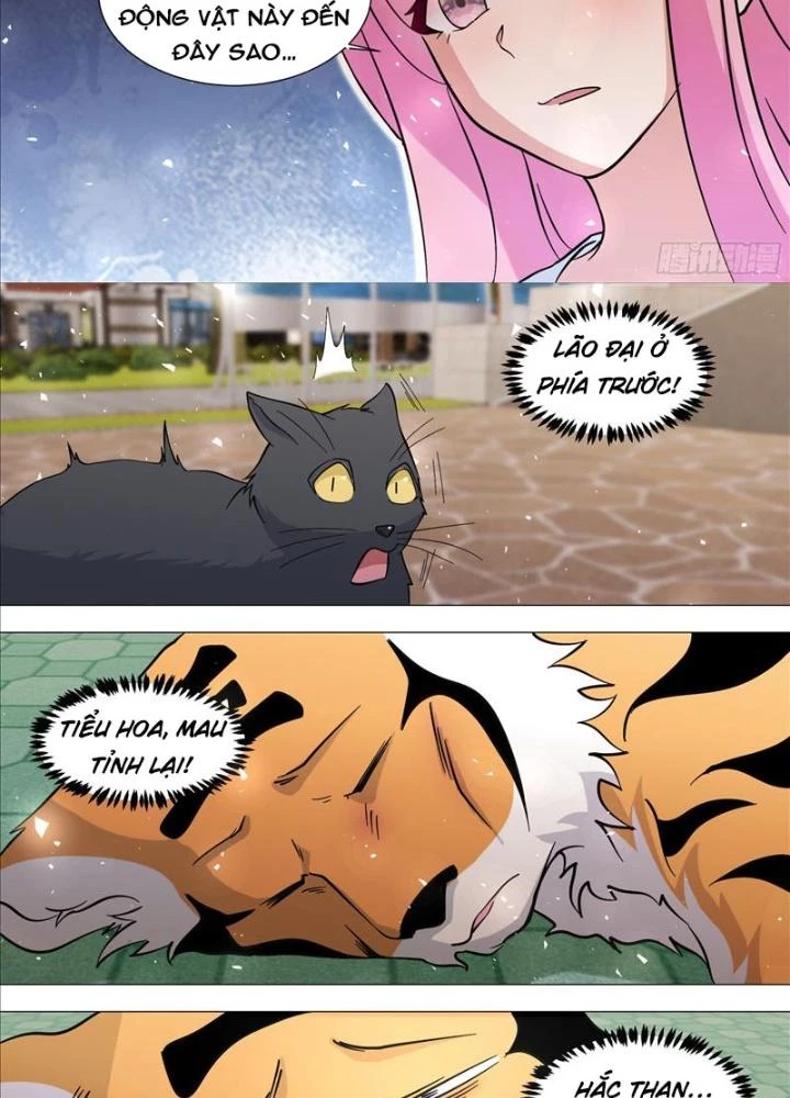 Trọng Sinh Thành Chó Của Nữ Thần Chapter 388 - Trang 3