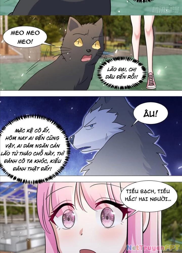 Trọng Sinh Thành Chó Của Nữ Thần Chapter 388 - Trang 3