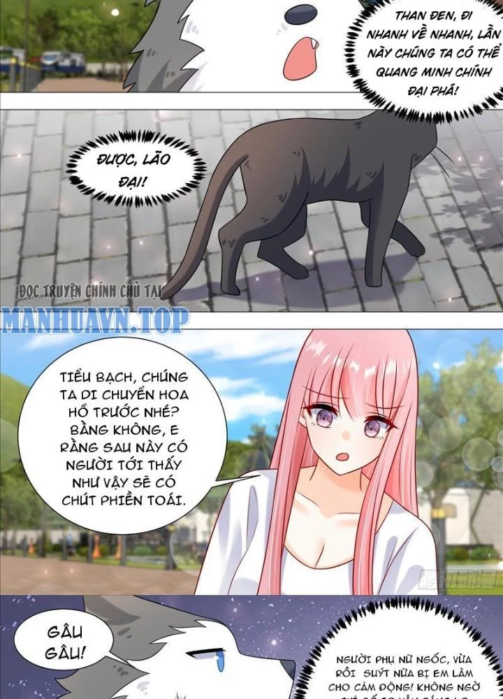 Trọng Sinh Thành Chó Của Nữ Thần Chapter 389 - Trang 3