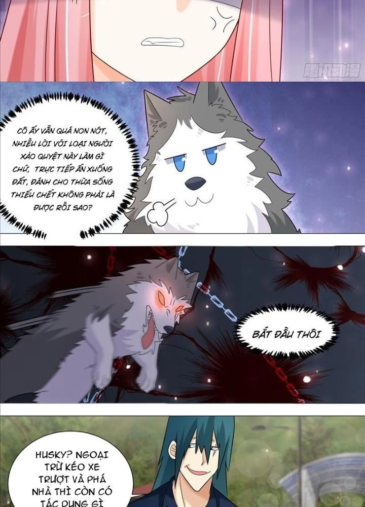 Trọng Sinh Thành Chó Của Nữ Thần Chapter 389 - Trang 3