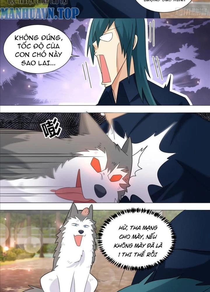 Trọng Sinh Thành Chó Của Nữ Thần Chapter 389 - Trang 3