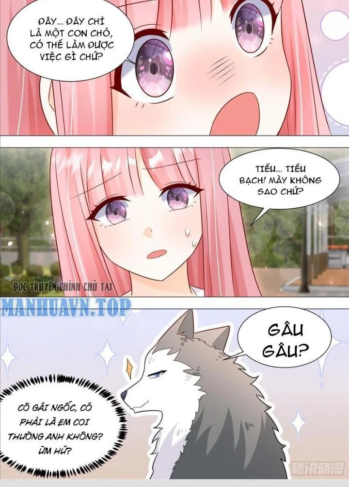 Trọng Sinh Thành Chó Của Nữ Thần Chapter 389 - Trang 3