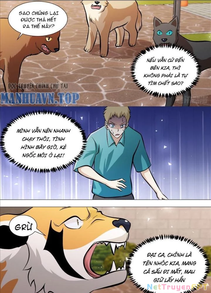 Trọng Sinh Thành Chó Của Nữ Thần Chapter 390 - Trang 3