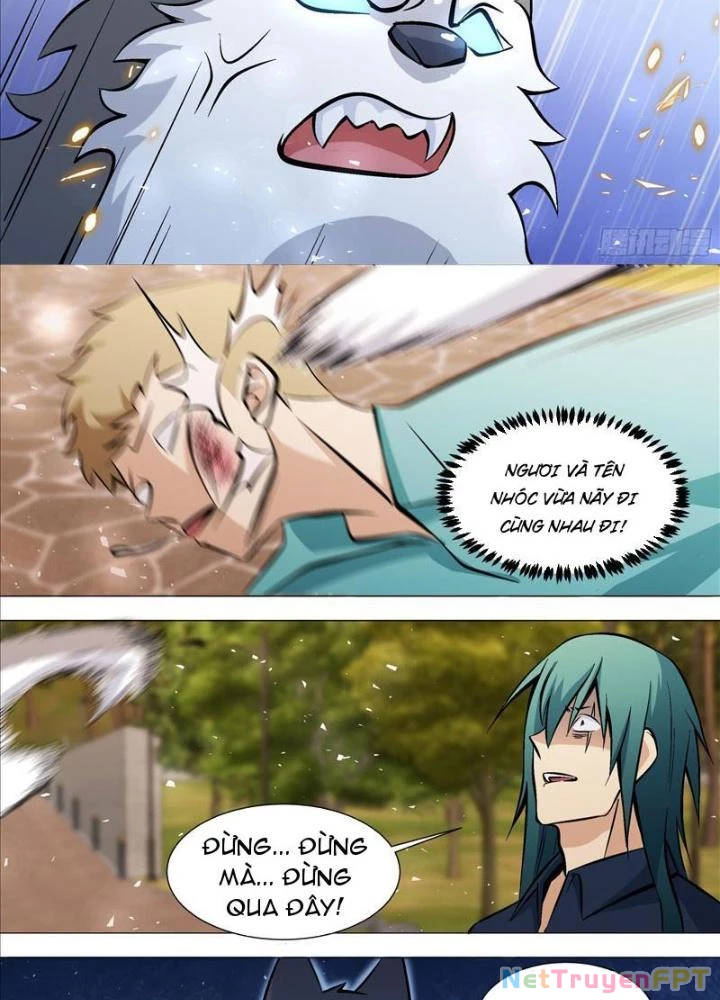 Trọng Sinh Thành Chó Của Nữ Thần Chapter 390 - Trang 3