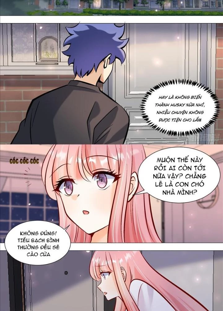 Trọng Sinh Thành Chó Của Nữ Thần Chapter 393 - Trang 3