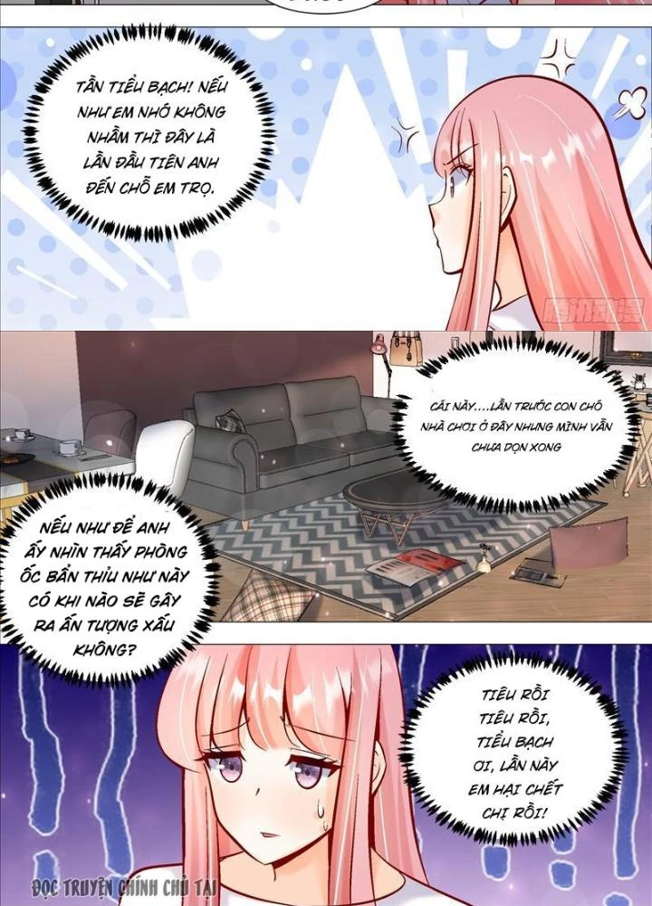 Trọng Sinh Thành Chó Của Nữ Thần Chapter 393 - Trang 3
