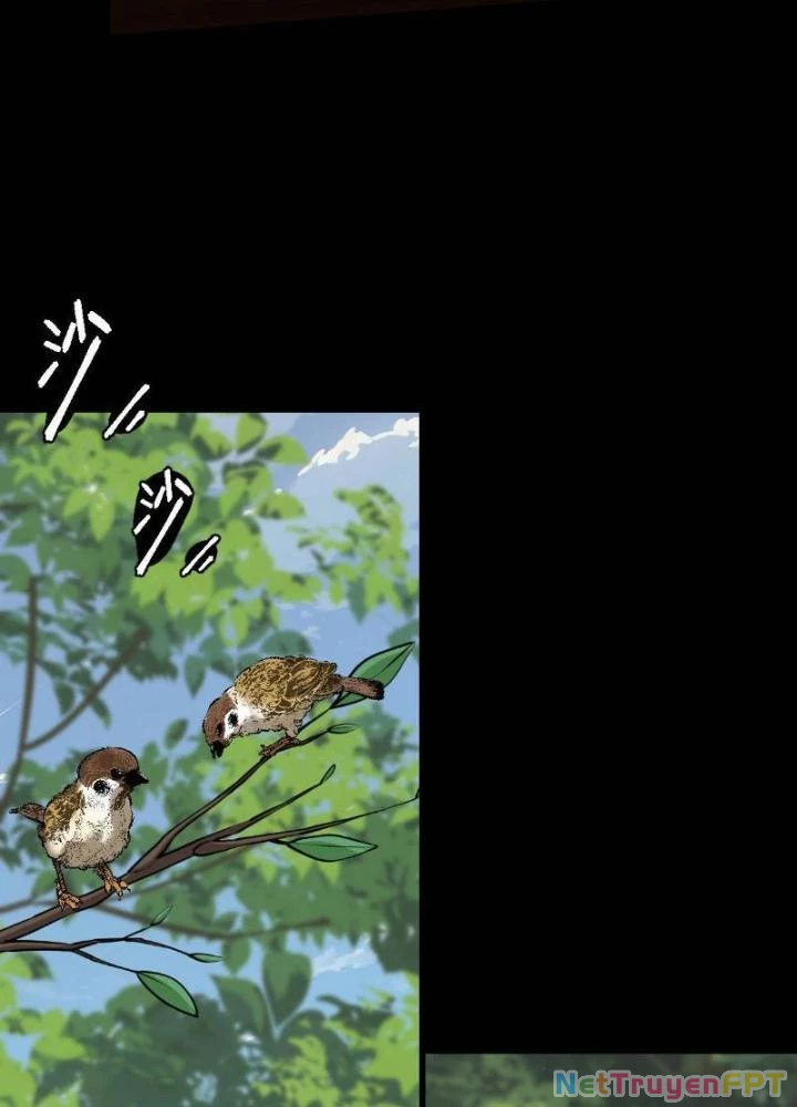Ngự Sử Này Có Năng Lực, Nhưng Lại Dễ Nóng Giận Chapter 5 - Trang 2