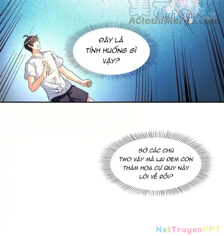 Tu Chân Nói Chuyện Phiếm Quần Chapter 495 - Trang 4