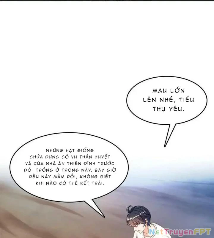 Tu Chân Nói Chuyện Phiếm Quần Chapter 499 - Trang 4