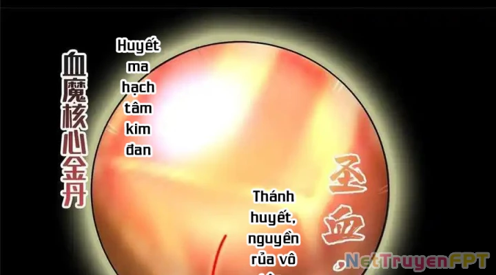 Tu Chân Nói Chuyện Phiếm Quần Chapter 528 - Trang 4