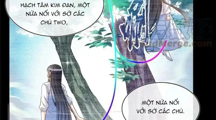 Tu Chân Nói Chuyện Phiếm Quần Chapter 528 - Trang 4