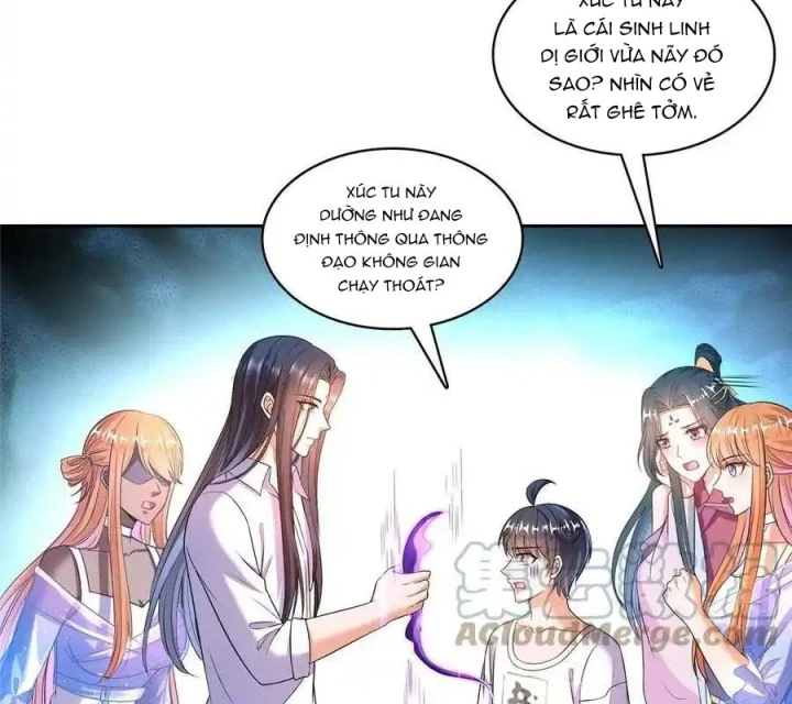 Tu Chân Nói Chuyện Phiếm Quần Chapter 564 - Trang 3