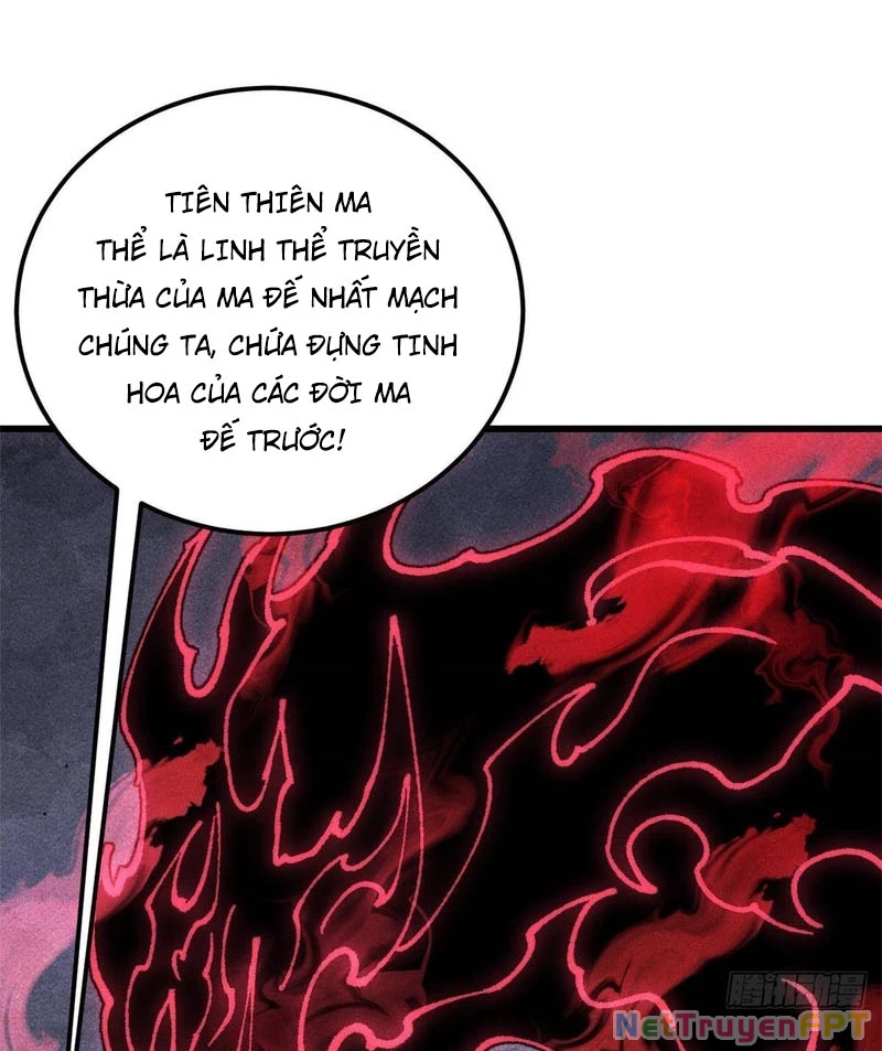Vạn Cổ Tối Cường Tông Chapter 409 - Trang 4