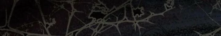 81 Câu Hỏi Chết Chóc Chapter 150 - Trang 2