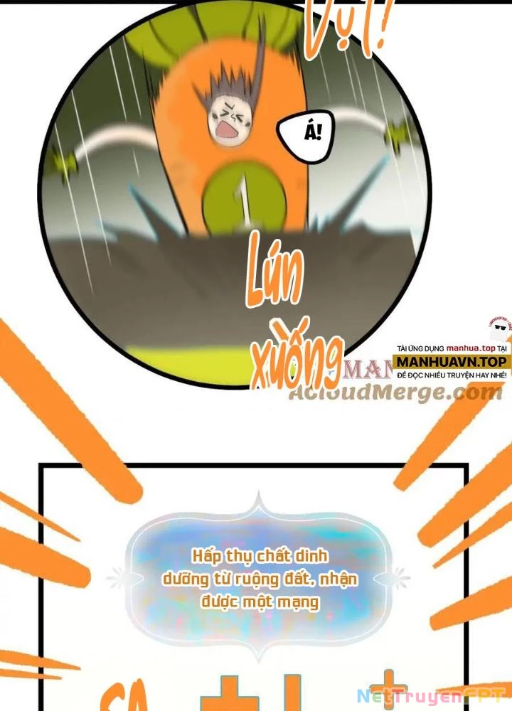 81 Câu Hỏi Chết Chóc Chapter 210 - Trang 2