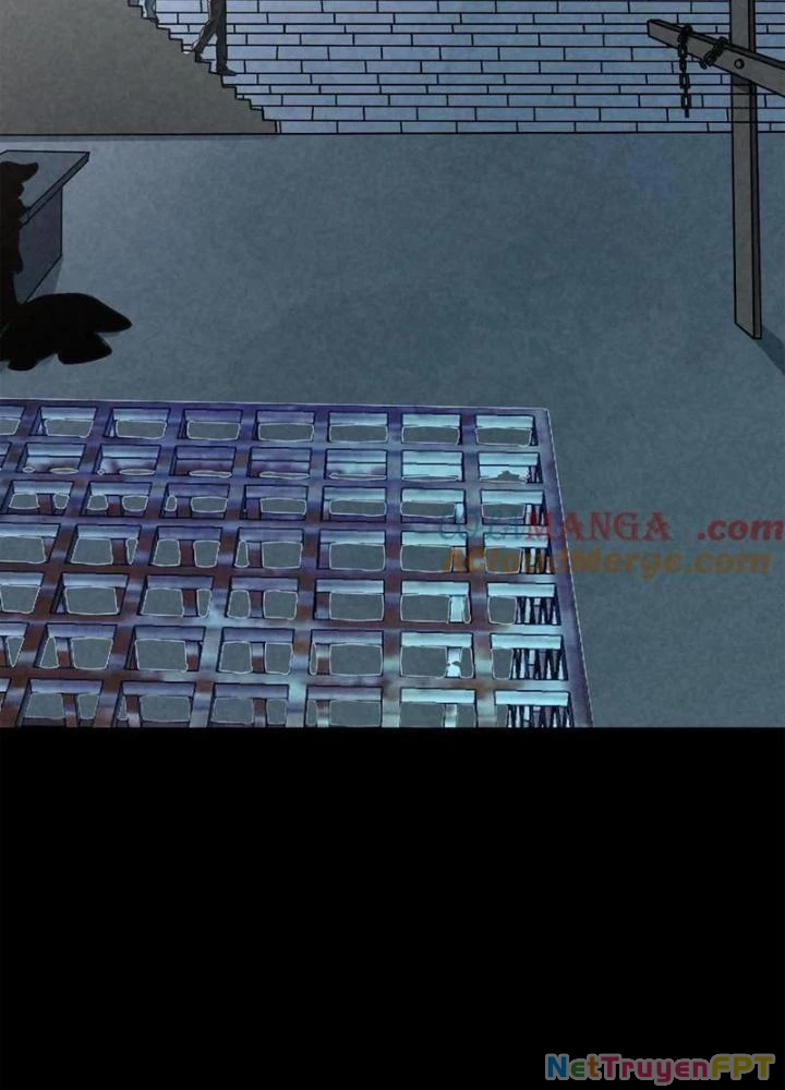 Bởi Vì Cẩn Thận Mà Quá Phận Hung Ác Chapter 205 - Trang 3
