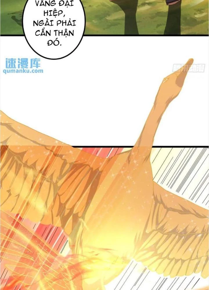 Kim Cương Bất Hoại Đại Trại Chủ Chapter 41 - Trang 3