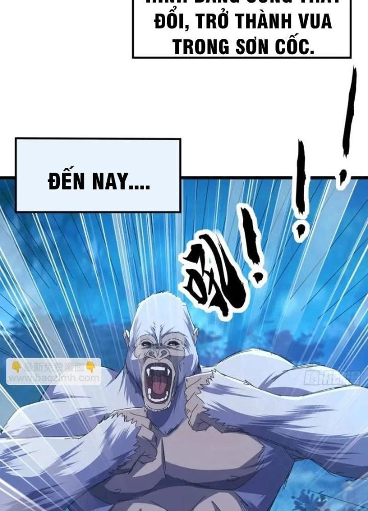 Kim Cương Bất Hoại Đại Trại Chủ Chapter 42 - Trang 3