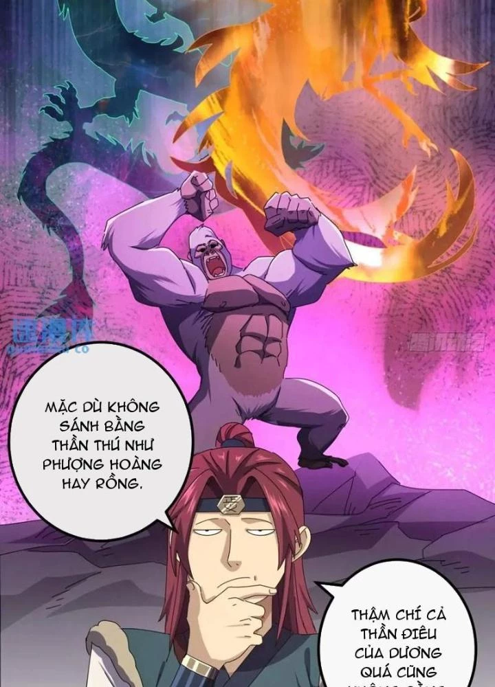 Kim Cương Bất Hoại Đại Trại Chủ Chapter 43 - Trang 3