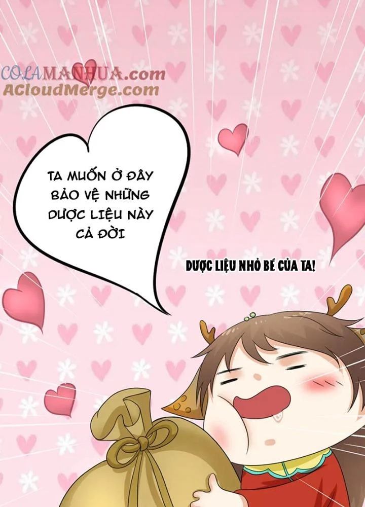 Dị Giới Trung Dược Phổ Chapter 64 - Trang 2