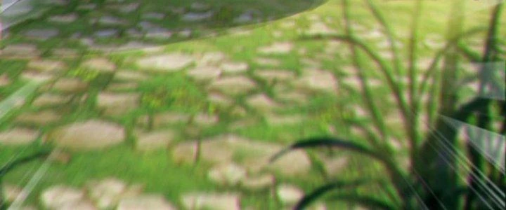 Võ Thánh Này Khảng Khái Quá Rồi Chapter 9 - Next Chapter 10