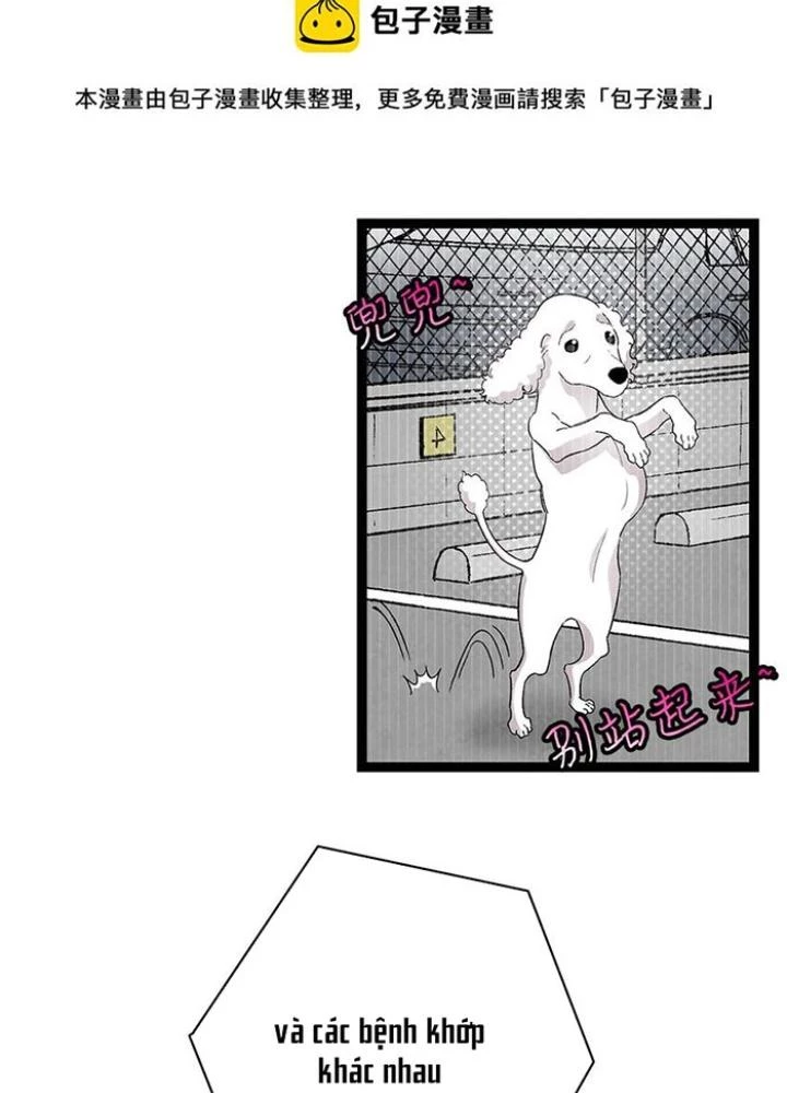 Skeleton Làm Bố Chapter 126 - Trang 2
