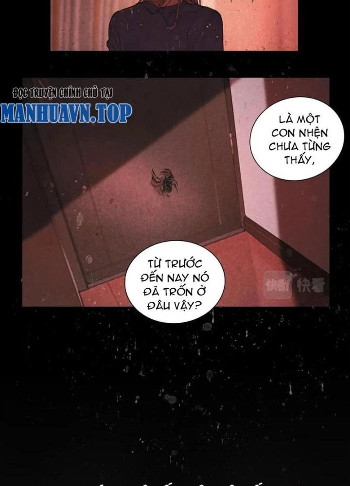 Tơ Nhện Chapter 41 - Trang 2