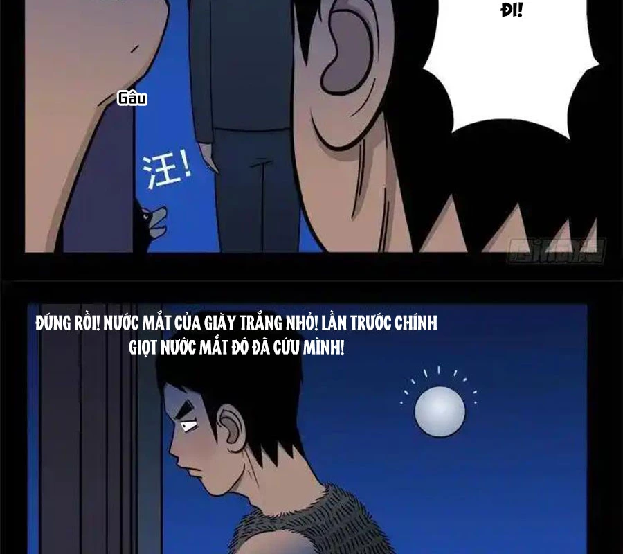 Ta Vì Chúng Sinh Chapter 19 - Next Chapter 20