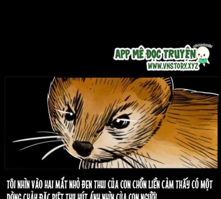 Tam Lão Gia Kinh Kỳ Thủ Trát Chapter 22 - Trang 2