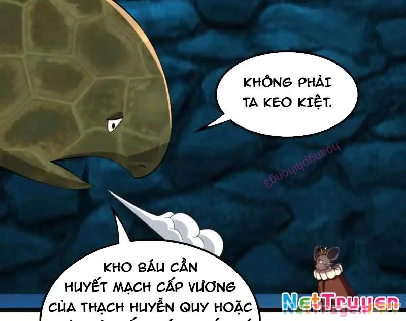 Huyễn Thú Của Ta Có Thể Tiến Hóa Vô Hạn Chapter 27 - Trang 2
