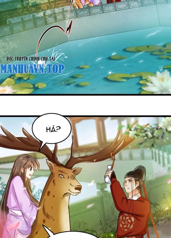 Đệ Nhất Nằm Vùng Nam Tống Chapter 76 - Trang 2