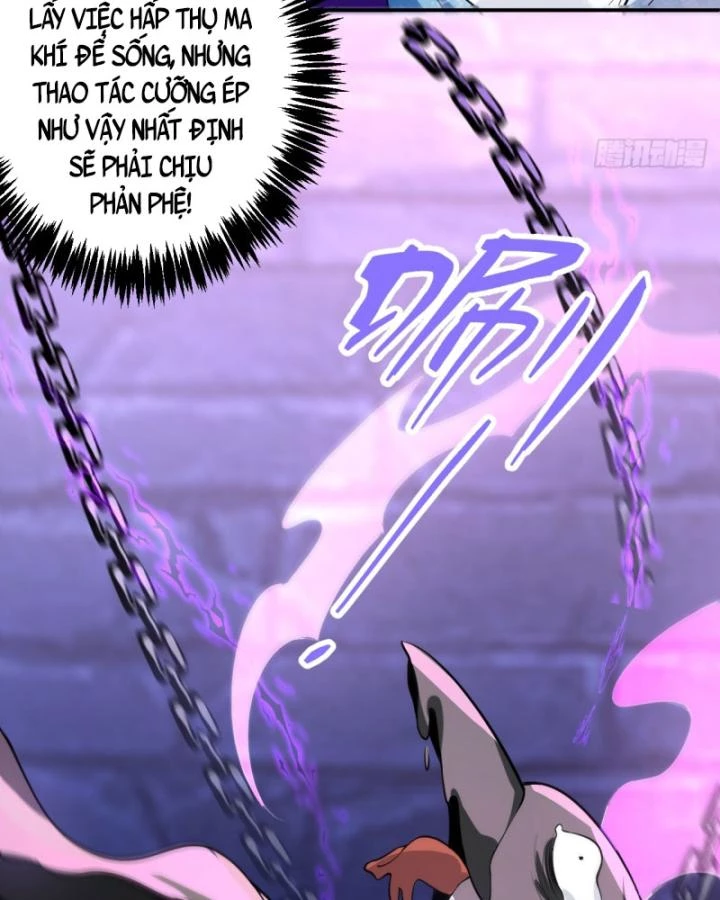 Ta! Phản Phái Thiên Mệnh Lại Thành Chính Đạo Lão Tổ Chapter 29 - Trang 3