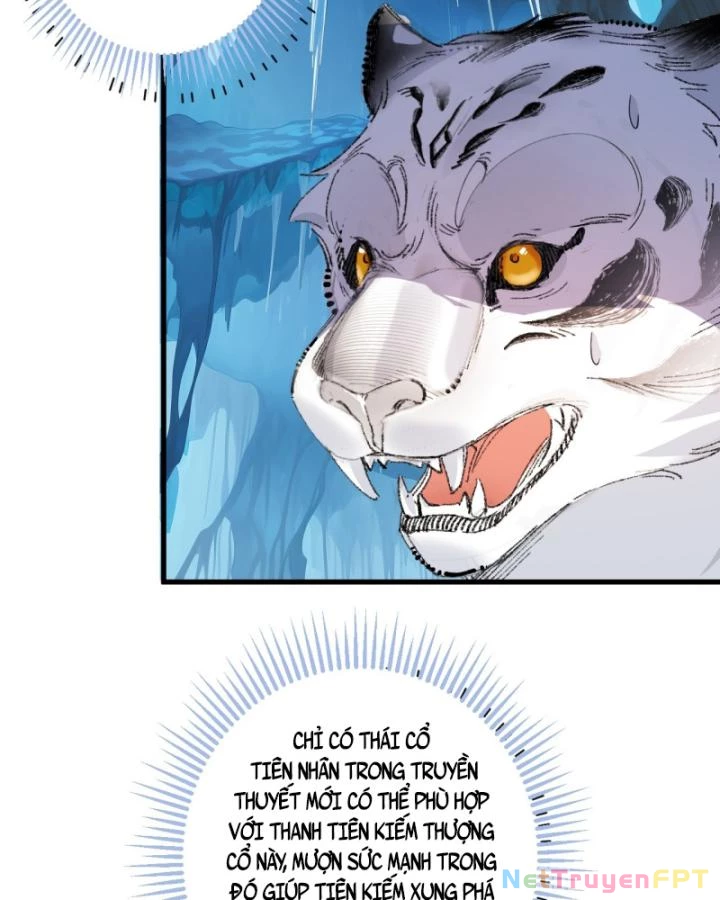 Ta! Phản Phái Thiên Mệnh Lại Thành Chính Đạo Lão Tổ Chapter 84 - Trang 3