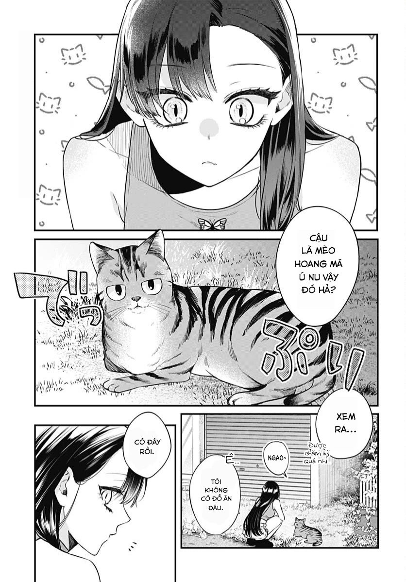 Mi-Chan Wa Kawaretai Chapter 20 - Next 