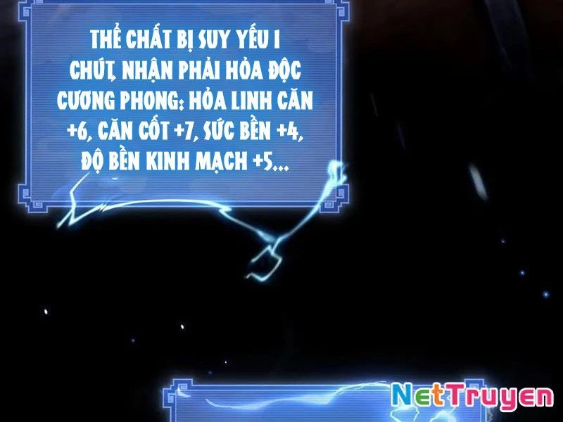 Các Nữ Sư Tôn Đều Muốn Chiếm Hữu Ta Chapter 11 - Trang 4
