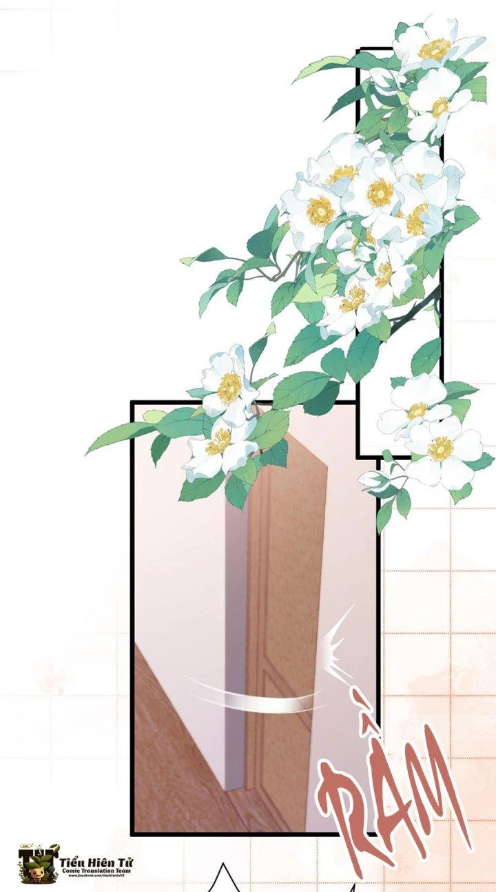 Hệ Thống Siêu Cấp Trà Xanh Chapter 20 - Trang 2