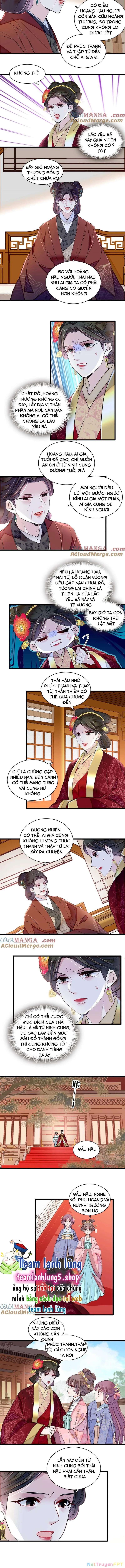 Tự Cẩm Chapter 377 - Trang 4