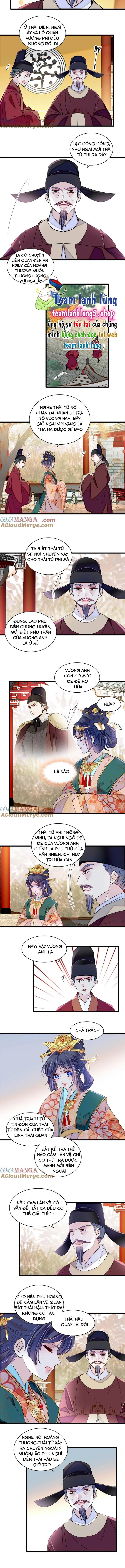 Tự Cẩm Chapter 377 - Trang 4