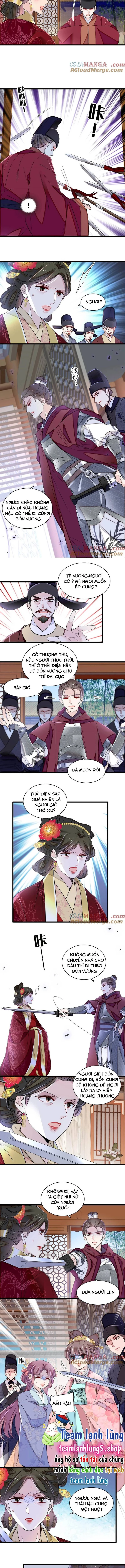Tự Cẩm Chapter 382 - Trang 4