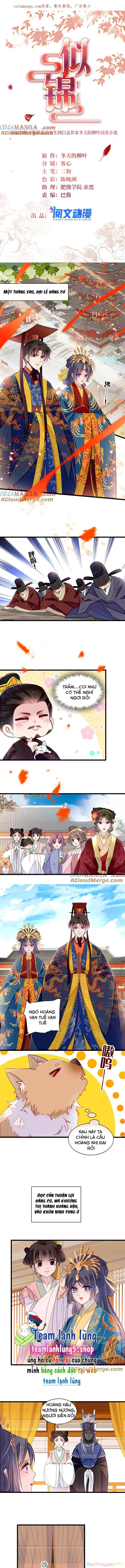 Tự Cẩm Chapter 386 - Trang 4