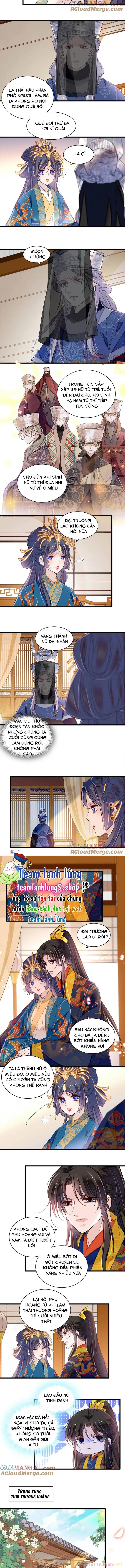 Tự Cẩm Chapter 386 - Trang 4