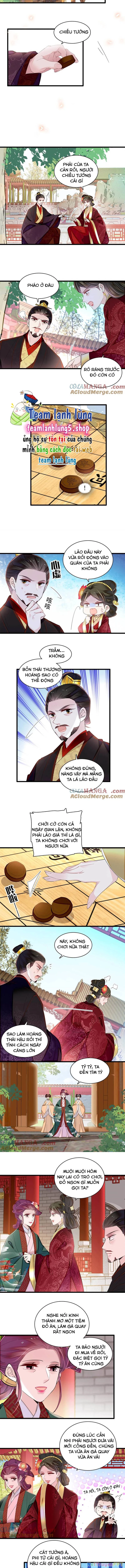 Tự Cẩm Chapter 386 - Trang 4