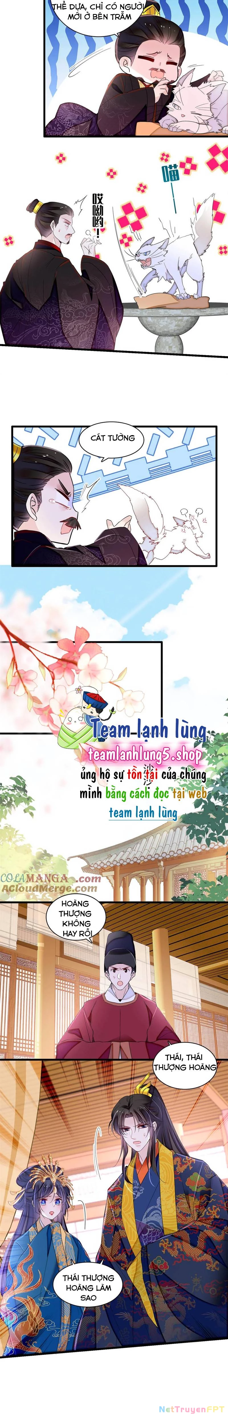 Tự Cẩm Chapter 386 - Trang 4