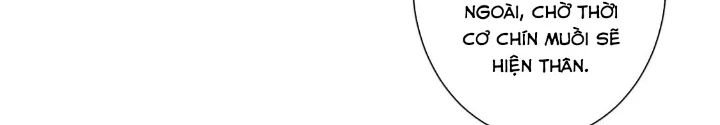 Ta Có Thể Thấy Tỉ Lệ Thành Công Chapter 344 - Trang 3