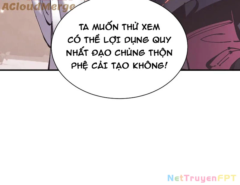 Sư Tôn: Nghịch Đồ Này Mới Không Phải Là Thánh Tử Chapter 123 - Trang 3