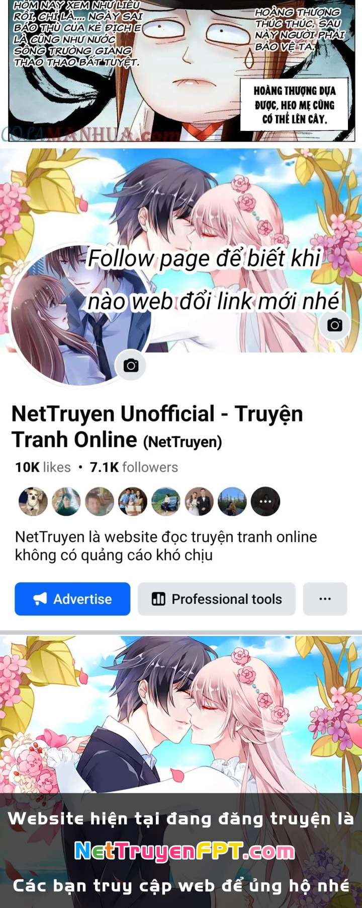 Tiểu Các Lão Chapter 169 - Trang 2