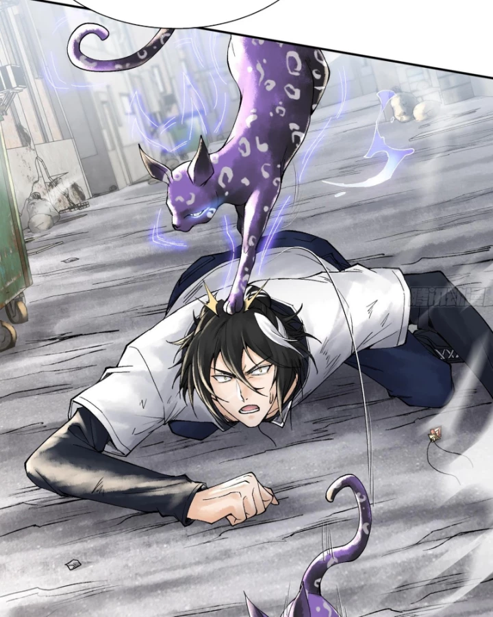 Thần Chi Cảnh Chapter 17 - Next Chapter 18