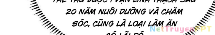 Tu Tiên Bắt Đầu Từ Trường Sinh Chapter 41 - Trang 2